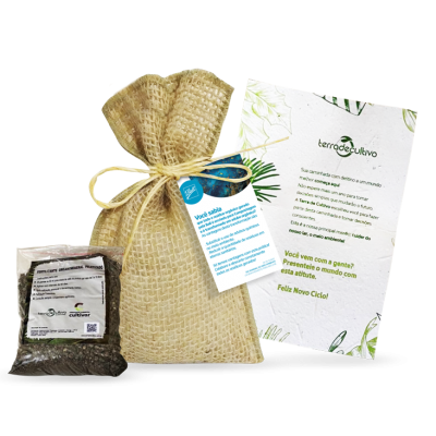 Kit Meio Ambiente Semente