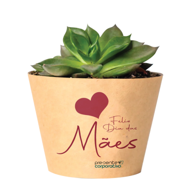 Suculenta com Cachepô Personalizado