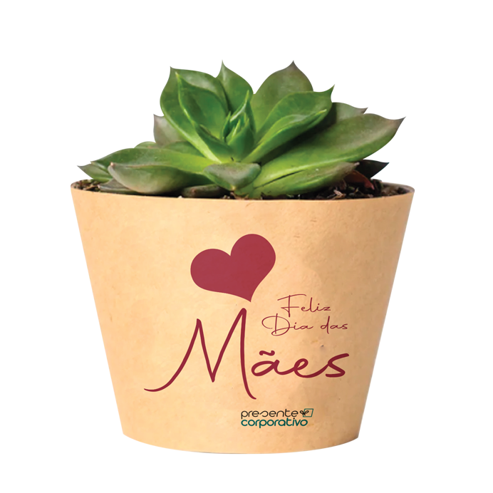 Suculenta com Cachepô Personalizado