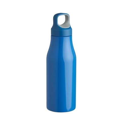 Garrafa Inox – 650ml