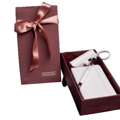 Kit Executivo Feminino